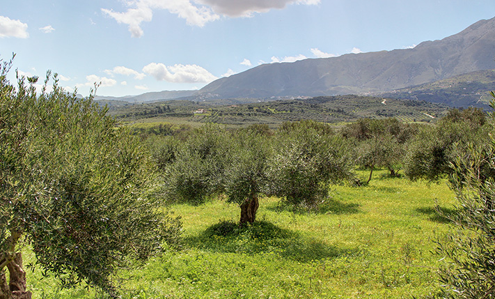 DEVELOPMENT PARCEL WITH VIEWS NEAR THE BEACH