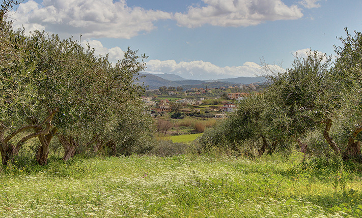 DEVELOPMENT PARCEL WITH VIEWS NEAR THE BEACH