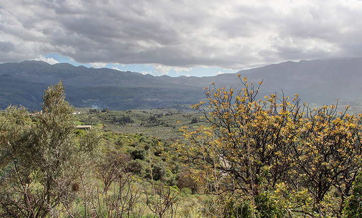 PARCEL IN APOKORONAS WITH SPECTACULAR VIEWS