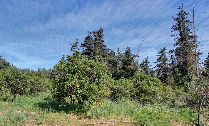 ΔΙΠΛΑ ΣΕ ΟΜΟΡΦΟ ΑΛΣΟΣ ΜΕΣΑ ΣΤΗ ΦΥΣΗ