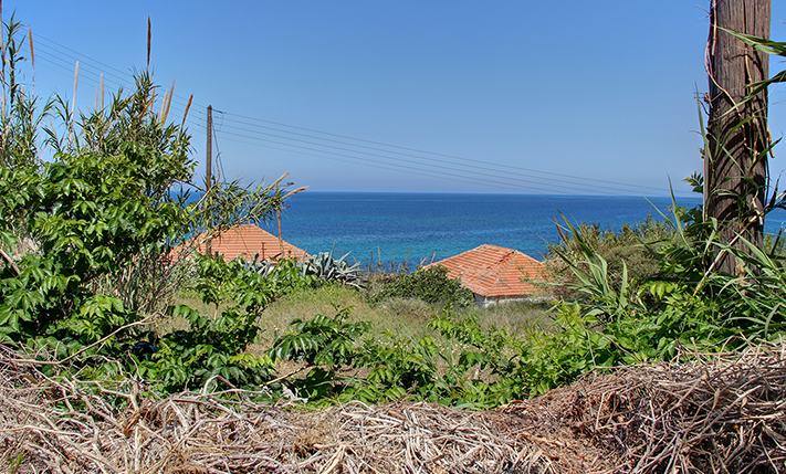LAND IN AN EXCEPTIONAL LOCATION IN TAMPAKARIA