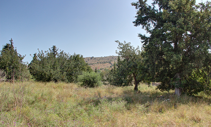 IN GAVALOCHORI FOR RESIDENTIAL DEVELOPMENT