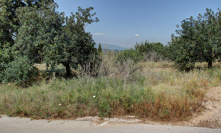 ΟΙΚΟΠΕΔΟ ΣΤΟ ΓΑΒΑΛΟΧΩΡΙ ΓΙΑ ΑΞΙΟΠΟΙΗΣΗ