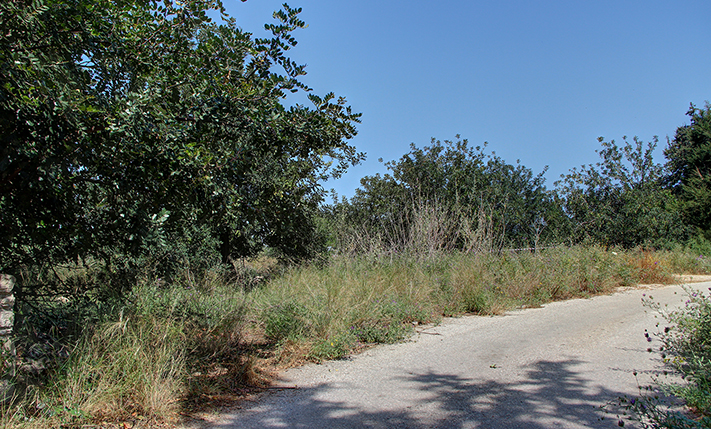 IN GAVALOCHORI FOR RESIDENTIAL DEVELOPMENT