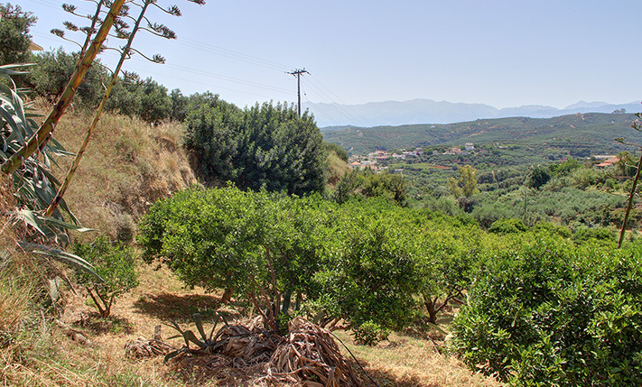 LAND ON TWO LEVELS WITH MOUNTAIN VIEWS