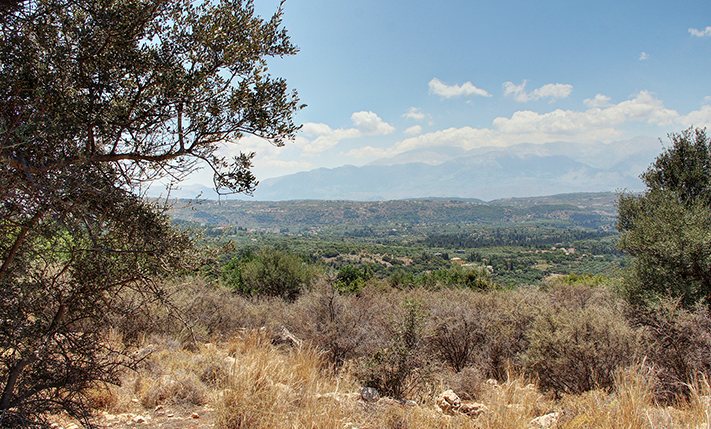 ΜΕΓΑΛΗ ΕΚΤΑΣΗ ΣΤΑ ΚΑΜΠΙΑ ΜΕ ΕΞΑΙΡΕΤΙΚΗ ΘΕΑ