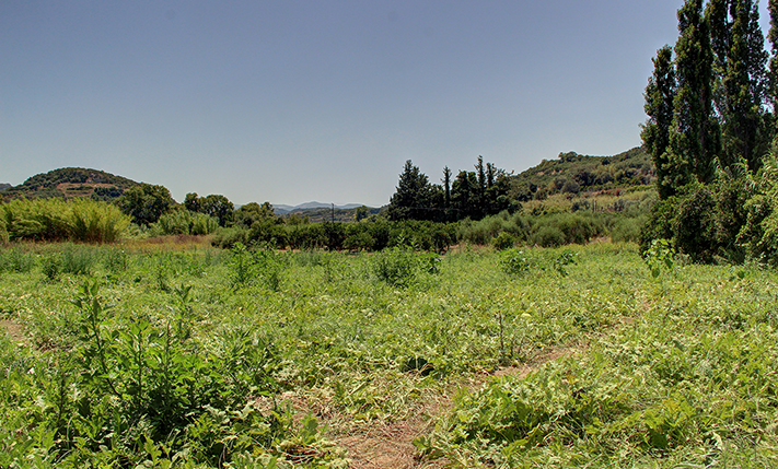 ΑΓΡΟΤΕΜΑΧΙΟ ΚΟΝΤΑ ΣΤΟΝ ΚΟΜΒΟ ΤΟΥ ΠΛΑΤΑΝΙΑ