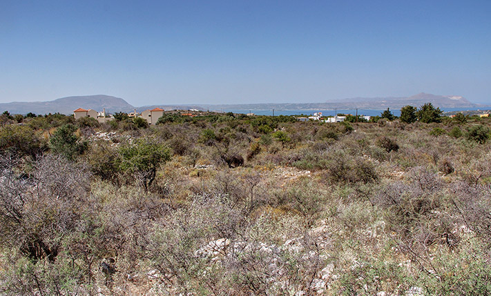 ΜΕΓΑΛΗ ΚΑΙ ΟΙΚΟΝΟΜΙΚΗ ΕΚΤΑΣΗ ΣΤΟΝ ΑΠΟΚΟΡΩΝΑ