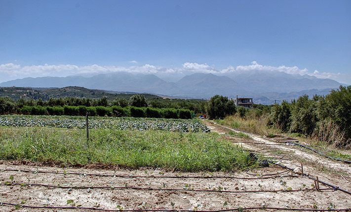 ΕΝΑ ΠΛΑΤΟ ΣΕ ΠΕΡΙΟΠΤΗ ΘΕΣΗ ΜΕ ΠΑΝΟΡΑΜΙΚΗ ΘΕΑ
