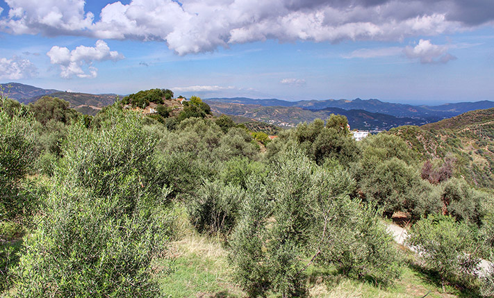 ΟΙΚΟΠΕΔΟ ΣΕ ΥΨΩΜΑ ΜΕ ΘΕΑ