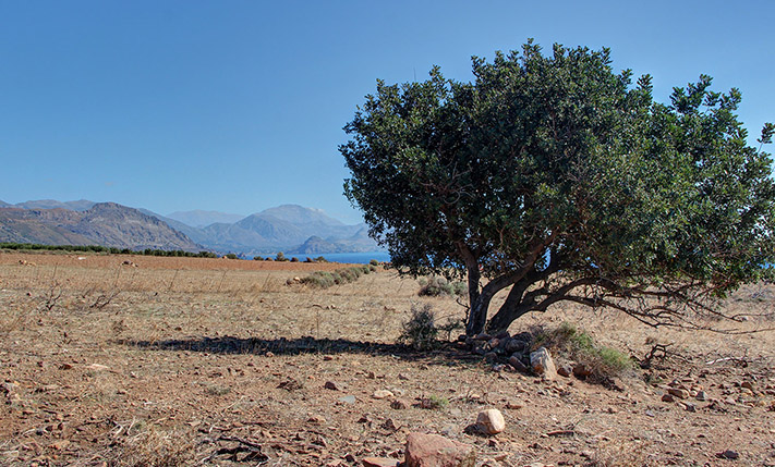 OPEN SEA VIEWS AMIDST AN IMPOSING SCENERY