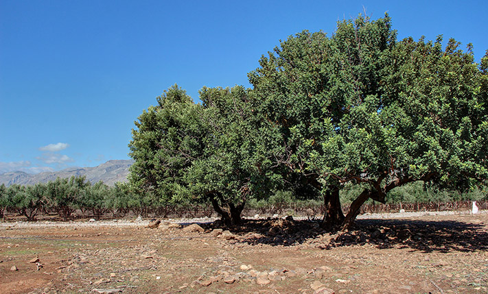 OPEN SEA VIEWS AMIDST AN IMPOSING SCENERY