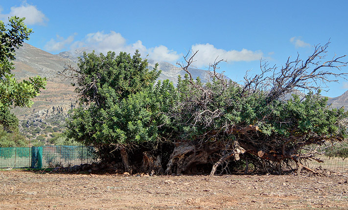 OPEN SEA VIEWS AMIDST AN IMPOSING SCENERY