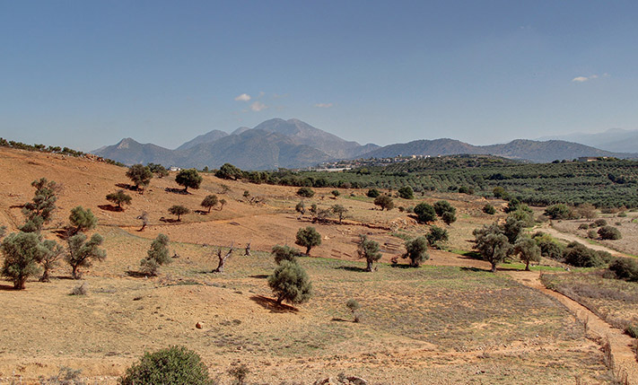 DEVELOPMENT PARCEL IN AN UPCOMING AREA