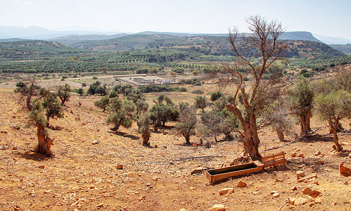 DEVELOPMENT PARCEL IN AN UPCOMING AREA