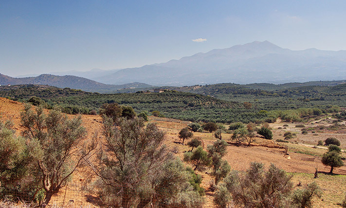 DEVELOPMENT PARCEL IN AN UPCOMING AREA