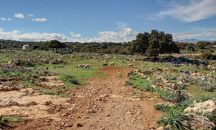 LUXURIOUS PARCEL SOUTH OF RETHYMNON CITY