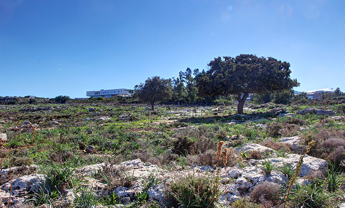 LUXURIOUS PARCEL SOUTH OF RETHYMNON CITY