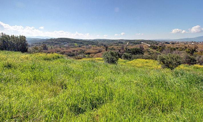 A SHORT WALK FROM THE CENTRE OF PLATANIAS
