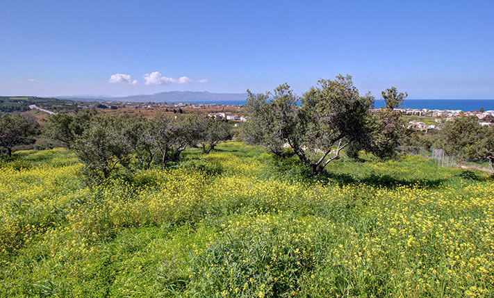 ΠΟΛΥ ΚΟΝΤΑ ΣΤΟ ΚΕΝΤΡΟ ΤΟΥ ΠΛΑΤΑΝΙΑ