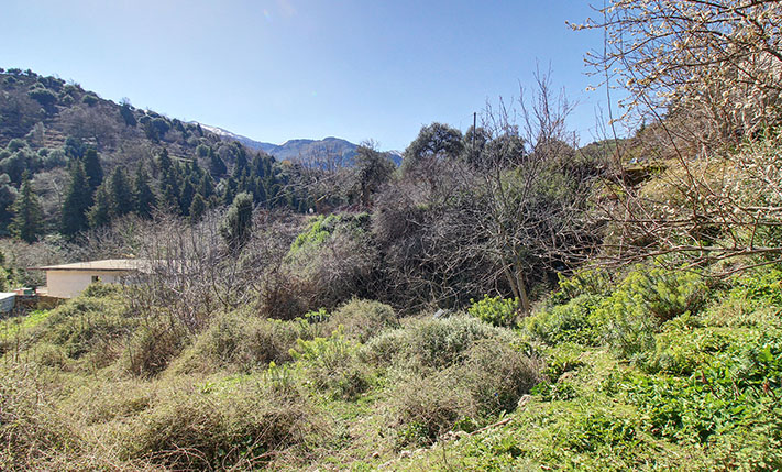 ΟΙΚΟΠΕΔΟ ΣΕ ΗΜΙΟΡΕΙΝΟ ΚΑΙ ΙΣΤΟΡΙΚΟ ΧΩΡΙΟ