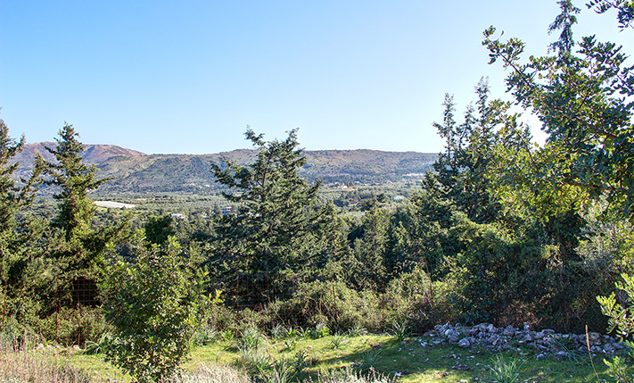 IN TRANQUIL LOCATION AMONG THE CYPRESS TREES