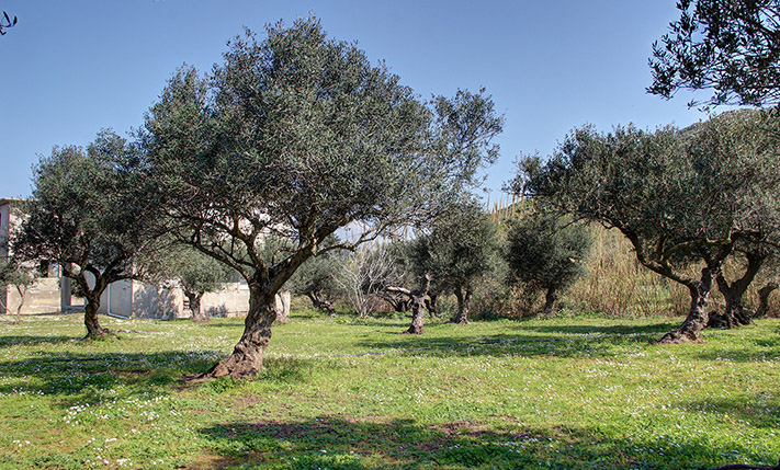 ΣΕ ΠΑΡΑΘΑΛΑΣΣΙΟ ΟΙΚΙΣΜΟ ΚΟΝΤΑ ΣΕ ΠΑΡΑΛΙΑ