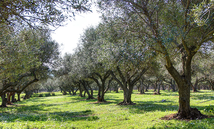 IN A SEASIDE VILLAGE & CLOSE TO A BEACH