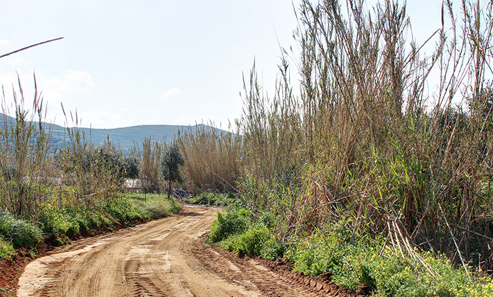 ΣΕ ΠΑΡΑΘΑΛΑΣΣΙΟ ΟΙΚΙΣΜΟ ΚΟΝΤΑ ΣΕ ΠΑΡΑΛΙΑ