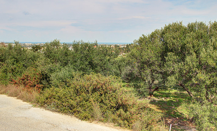 ΟΙΚΟΠΕΔΟ ΣΤΟΝ ΣΤΑΥΡΟ, ΚΟΝΤΑ ΣΤΗ ΘΑΛΑΣΣΑ