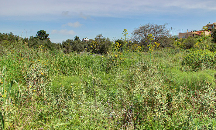 BUILD A COMPLEX OF HOUSES AMIDST NATURE