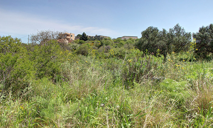 BUILD A COMPLEX OF HOUSES AMIDST NATURE