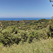 PLS0704 - εικόνα 8 PLS0704 - εικόνα 8