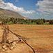 PLS0714 - image 2 PLS0714 - image 2