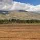 PLS0714 - image 3 PLS0714 - image 3