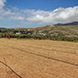 PLS0714 - image 4 PLS0714 - image 4