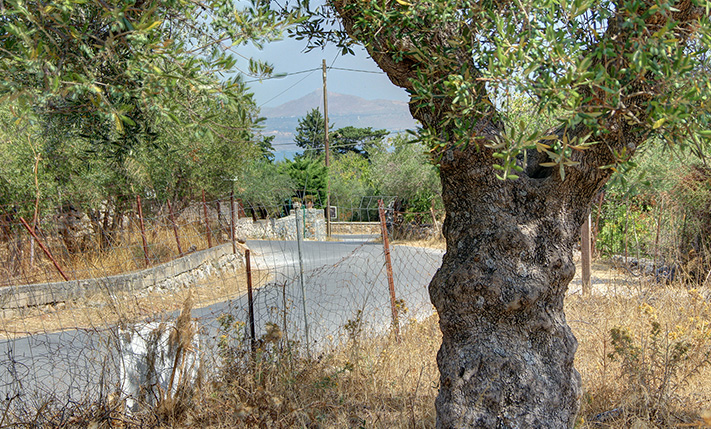 ON THE CORNER OF 2 QUIET ROADS AMIDST NATURE