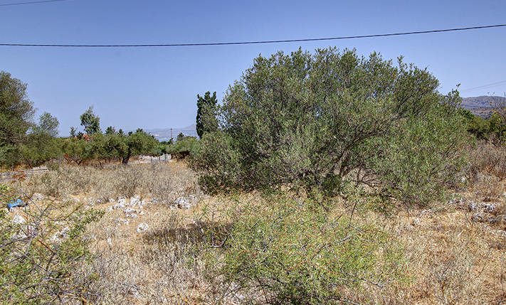 ON THE CORNER OF 2 QUIET ROADS AMIDST NATURE