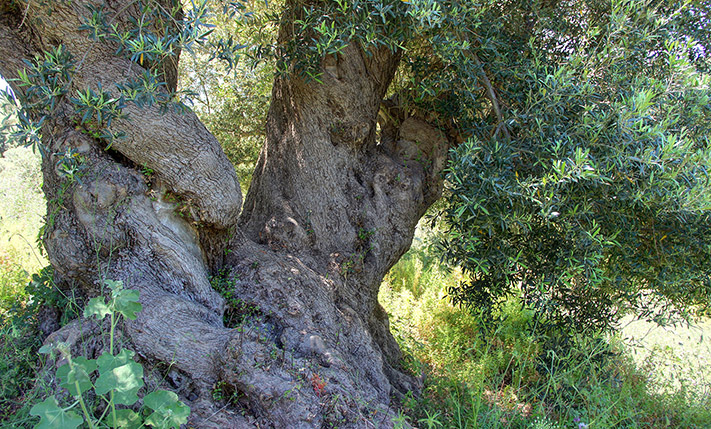 EXCEPTIONAL LOCATION WITH UNOBSTRUCTED VIEWS