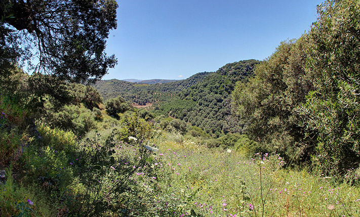 EXCEPTIONAL LOCATION WITH UNOBSTRUCTED VIEWS