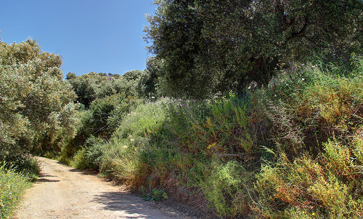 ΕΞΑΙΡΕΤΙΚΗ ΘΕΣΗ ΜΕ ΑΝΕΜΠΟΔΙΣΤΗ ΘΕΑ