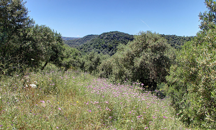 EXCEPTIONAL LOCATION WITH UNOBSTRUCTED VIEWS