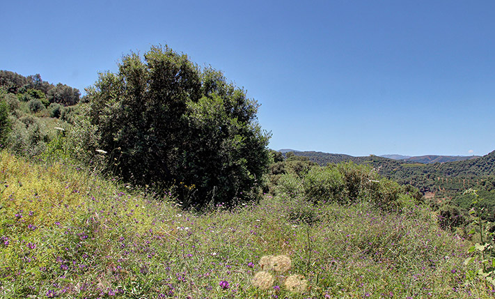 EXCEPTIONAL LOCATION WITH UNOBSTRUCTED VIEWS