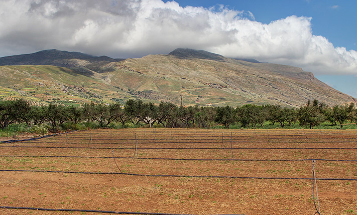 NEAR THE BEACH, PERFECTLY PRICED