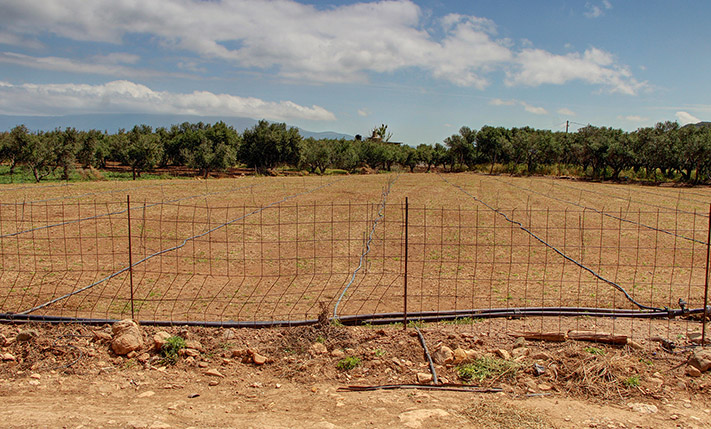 ΚΟΝΤΑ ΣΕ ΠΑΡΑΛΙΑ ΣΕ ΧΑΜΗΛΗ ΤΙΜΗ
