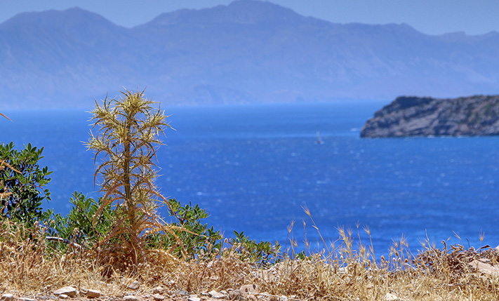 ON A ROCKY SHORELINE IN LUXURIOUS LOCATION