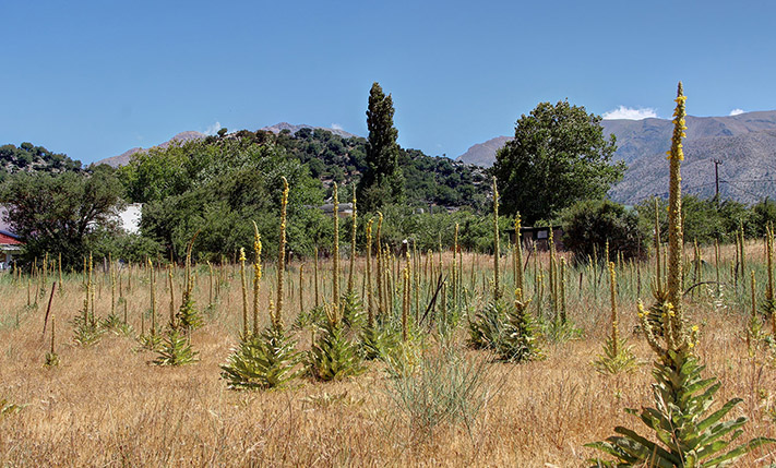 AMONG THE WHITE MOUNTAINS WITH EASY ACCESS