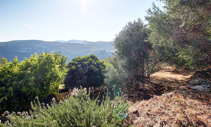 ΕΝΤΥΠΩΣΙΑΚΗ ΘΕΑ ΣΕ ΧΑΜΗΛΗ ΤΙΜΗ