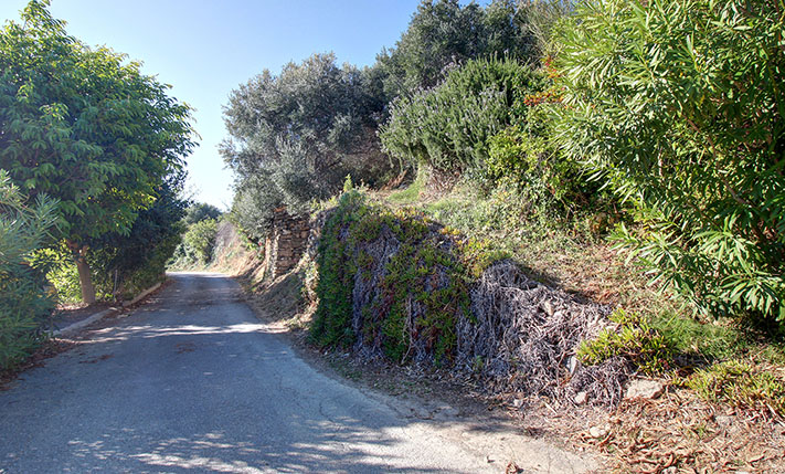 ΕΝΤΥΠΩΣΙΑΚΗ ΘΕΑ ΣΕ ΧΑΜΗΛΗ ΤΙΜΗ