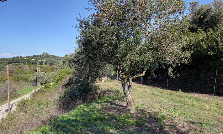 ΦΘΗΝΗ ΛΥΣΗ ΜΕ ΚΑΛΕΣ ΠΡΟΣΒΑΣΕΙΣ